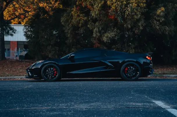 Cazino Sticky Wilds Cazinou Aplicație Android/iOS